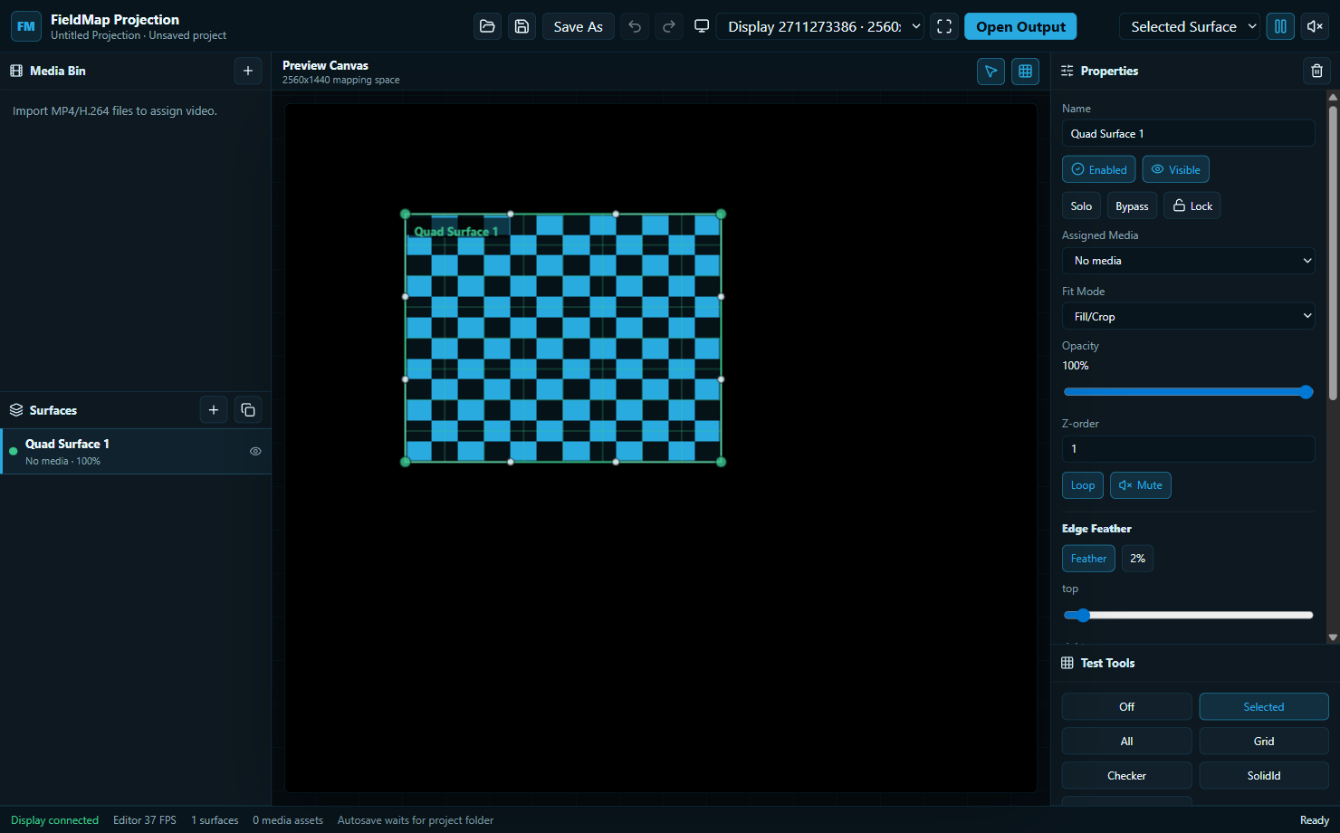 FieldMap Projection editor with one checker surface selected